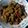 Cooksnap dari Lucy Hariyati untuk resep Orek tempe teriyaki 🤍