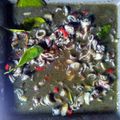 Cooksnap dari Cholifah Ariestiani untuk resep Cumi Hitam Saus Tiram
