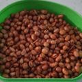 Cooksnap dari Dapoer Ciptasari (Memasaklah dgn hati dan cinta) untuk resep Canglaireng (Kacang Kedelai Goreng) + Tips dan Trik