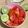 Cooksnap dari Fey_Pawonmungil untuk resep Rujak Tomat