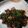 Tsai Ling Chen 的 爆炒螺肉 cooksnap