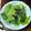 Lin Shu Jhen 的 麻油炒薑片芥菜 cooksnap