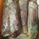 Cooksnap dari Bintu Tsaniyah untuk resep Pisang cokelat(piscok) kulit lumpia