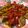 Nancy Kuo 的 彩蔬紅燒豆腐 cooksnap