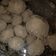 Cooksnap dari Anita Hidayati untuk resep Bakso sapi kenyal kress anti gagal