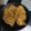 Cooksnap dari iti Resti Nsh untuk resep Tempe Mendoan