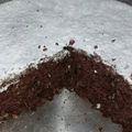 El cooksnap de Abigail cuando hizo Brownie de chocolate con chispas.