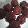 Cooksnap dari niaaa_ untuk resep Chocoballs