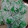 Cooksnap dari Marisa Sandy untuk resep Klepon kenyal