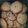 El cooksnap de Carolina de la torre cuando hizo Cookies con chips.