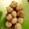 Cooksnap dari adlina untuk resep Cimol (dijamin ga meledak)