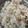 jenny's cooksnap of when they made வெந்தய சாதம்.