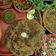Parul Manish Jain का कुकस्नैप जब उन्होंने मक्के मेथी पराठा (Makke methi paratha recipe in hindi) बनाया था।