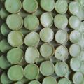 Cooksnap dari Umi Marwiyah untuk resep Bolu Kojo mini