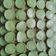 Cooksnap dari Umi Marwiyah untuk resep Bolu Kojo mini