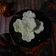Cooksnap dari FiDy untuk resep Putu Ayu (Anti Gagal)