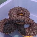 Cooksnap dari lina untuk resep Donat irit bahan (pake tepung terigu curah)