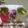 Rita Mehta ( Executive chef )'s cooksnap of when they made Mojito Drinks.