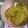 Cooksnap dari Amrah Al-Khonsaa Alkatiri untuk resep Bihun Goreng Pokcoy