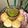 Ankita Tank Parmar's cooksnap of when they made પાણીપુરી (Panipuri Recipe in Gujarati).