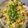 Sweety Lalani's cooksnap of when they made મસાલેદાર બ્રેડ કટકા.