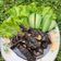 Cooksnap dari putri wulandari untuk resep Cumi bumbu hitam