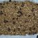 Cooksnap dari Alina Pramudita untuk resep Granola 1350 kalori TANPA OVEN