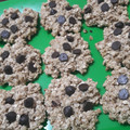El cooksnap de Vani Goye cuando hizo Galletitas de avena y chips de chocolate express.