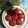 Cooksnap dari Ery untuk resep Kue Ku Kacang Hijau
