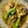 Sarosh Zeeshan's cooksnap of when they made Chicken white karahi.