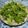 El cooksnap de Lady Marmalade cuando hizo Ensalada verde.