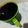Lily's cooksnap of when they made Zobo.