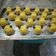 Cooksnap dari Zoel Noto untuk resep Fatty sheep cookies