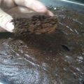 El cooksnap de Deby cuando hizo Torta tipo brownie.