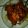 Cooksnap dari marwilsta16 untuk resep Ayam kecap saus tiram
