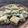 Sonal Karia's cooksnap of when they made સેન્ડવીચ ઢોકળા (Sandwich Dhokla Recipe In Gujarati).