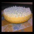 El cooksnap de Vale👩🏽‍🍳 cuando hizo Lemon pie.