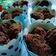 Cooksnap dari Ndha Octha Noyavega untuk resep Muffin coklat kukus