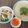 Cooksnap của Hoàng Thị Tố Hà khi họ làm theo món Gỏi gà bắp cải càng cua