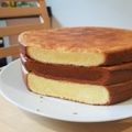 Cooksnap dari Mama Octy untuk resep Spiku Lapis Surabaya Premium