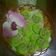 Cooksnap dari Mama R!d!n@ untuk resep Putu Ayu Ekonomis anti gagal