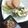 El cooksnap de Berenice Jasso cuando hizo Tortitas de amaranto.