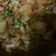 Meena rathi का कुकस्नैप जब उन्होंने भुने आलू (Bhune aloo recipe in hindi) बनाया था।