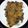 Manini Ray's cooksnap of when they made নিরামিষ কুমড়োর তরকারি(Niramish Kumror torkari recipe in Bengali).
