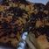 Cooksnap dari Meli Ummu Anisyah untuk resep Roti Sobek Tanpa Telur & Tanpa Ulen (bs buat donat) sangat empuk