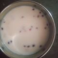 Smita Barot's cooksnap of when they made દૂધપાક (Doodhpak Recipe In Gujarati).