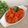 Cooksnap dari Fara Saskia untuk resep Terong balado crispy