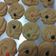 Cooksnap dari Friska Azmi untuk resep Butter Cookies