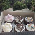 El cooksnap de Wendii Lozada cuando hizo Muffins de chocolate y esencia de nuez / esencia de menta.