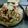 El cooksnap de Jacqueline Gonzalez cuando hizo Ensalada César.